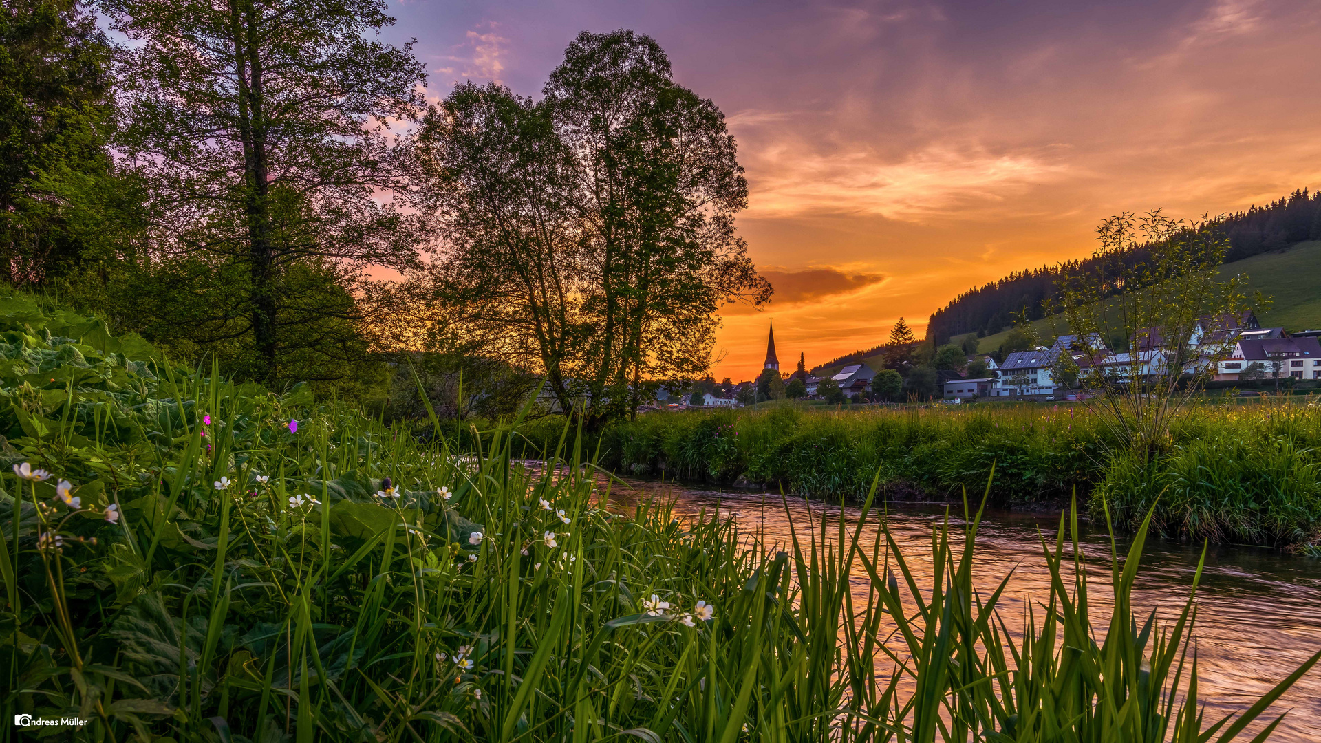 Abendstimmung an der Breg 