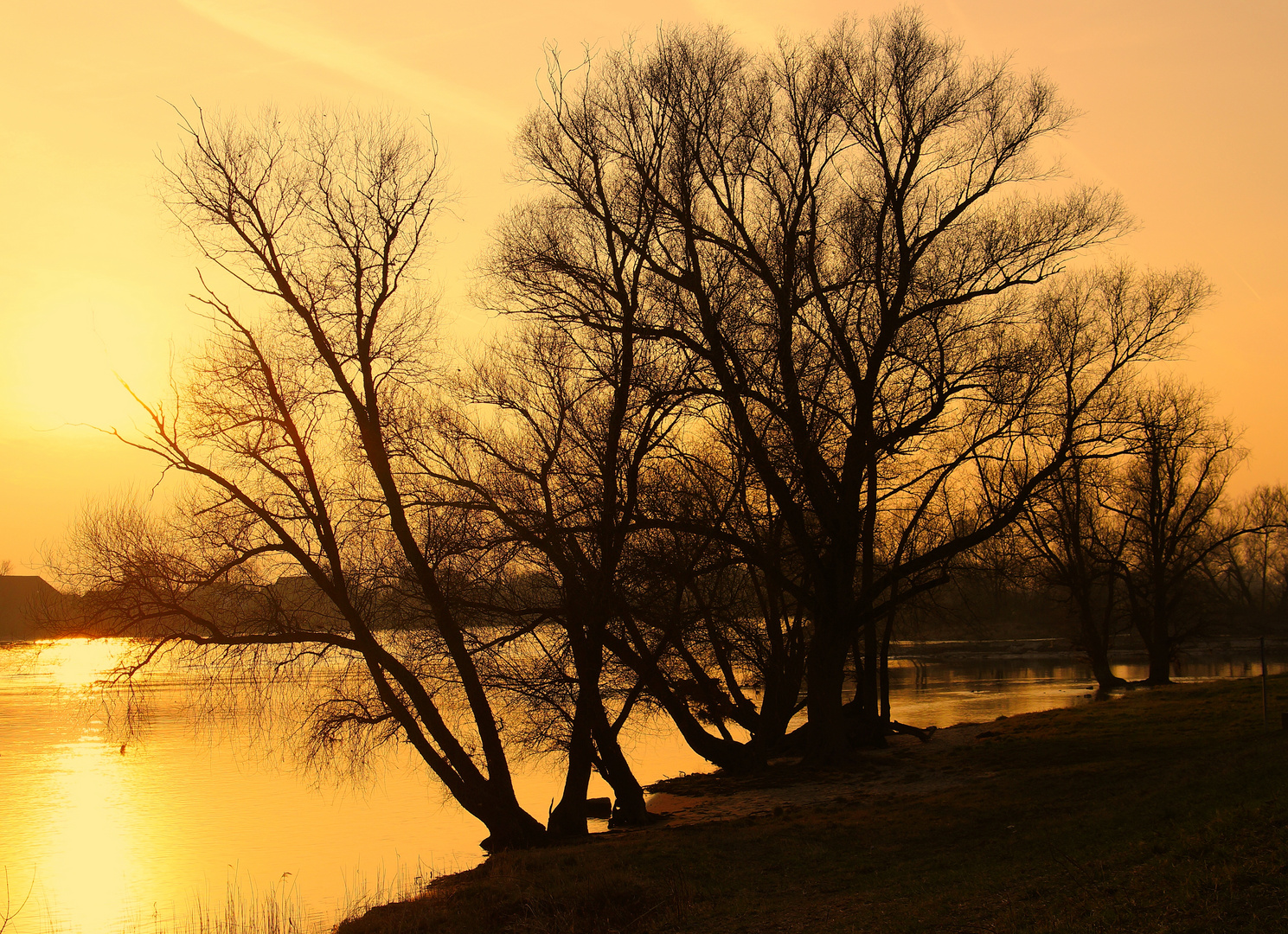 Abendstimmung an der Donau