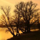 Abendstimmung an der Donau