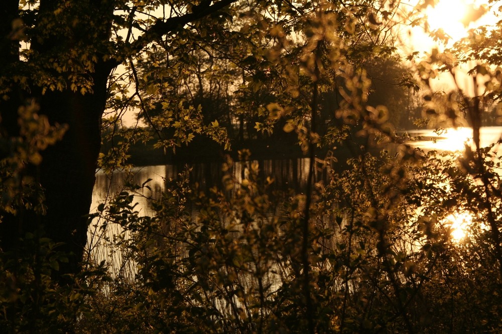 Abendstimmung an der Eider