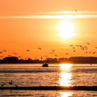 Abendstimmung an der Elbe