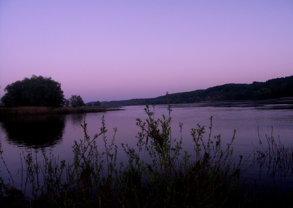 Abendstimmung an der Elbe