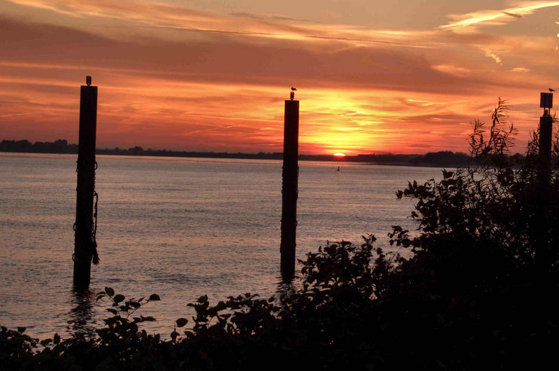 Abendstimmung an der Elbe