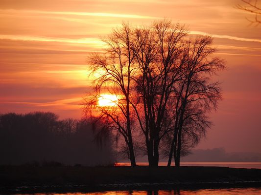 Abendstimmung an der Elbe