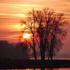 Abendstimmung an der Elbe