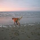 Abendstimmung an der Elbe