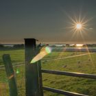 Abendstimmung an der Elbe bei Kollmar001