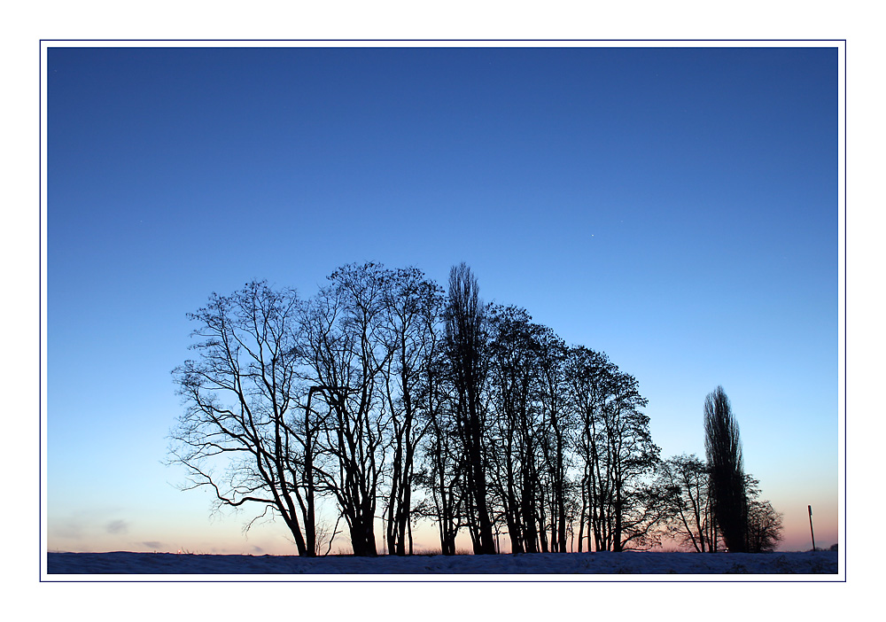 Abendstimmung an der Elbe