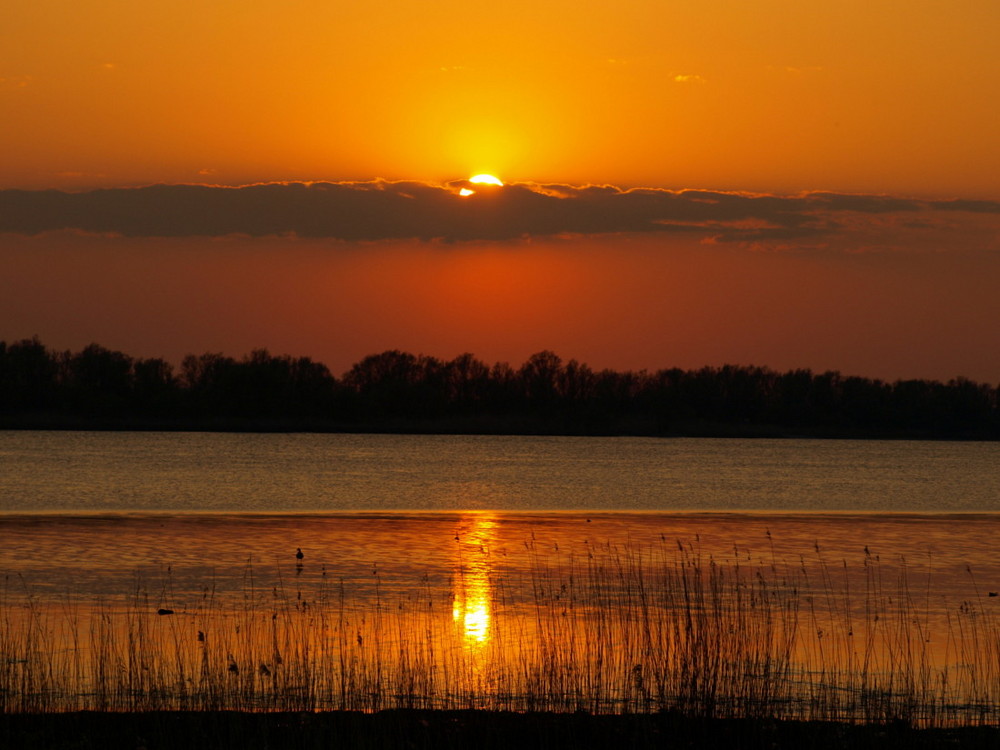 Abendstimmung an der Elbe