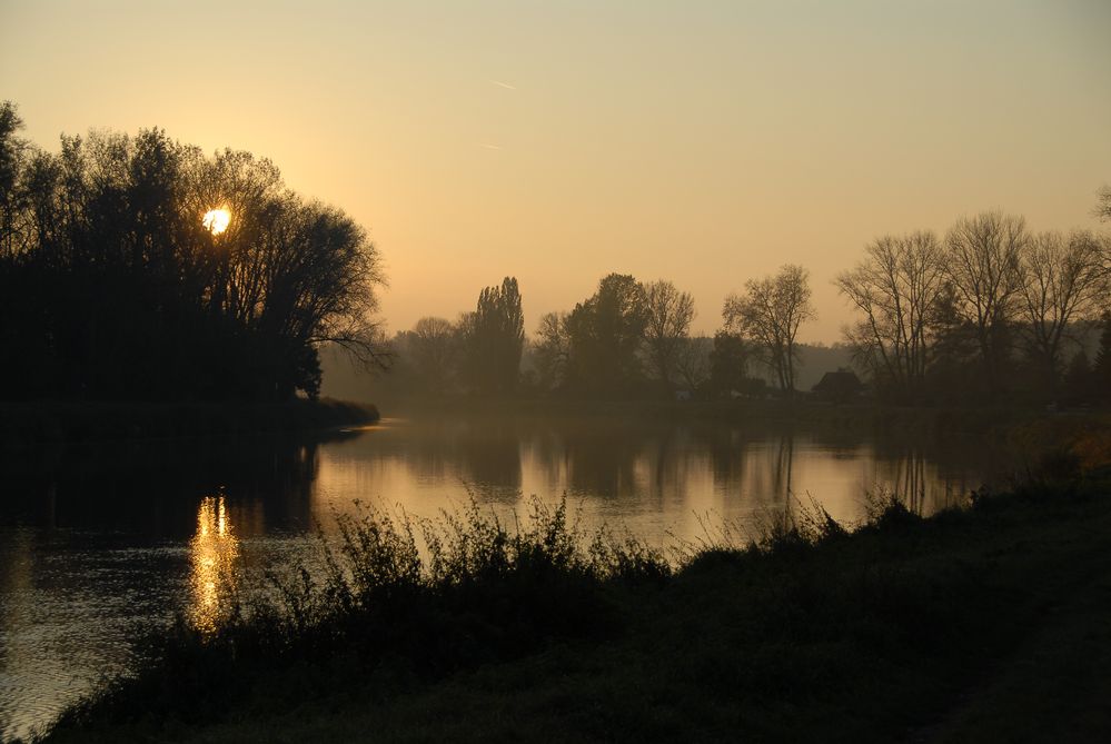 Abendstimmung an der Elbe