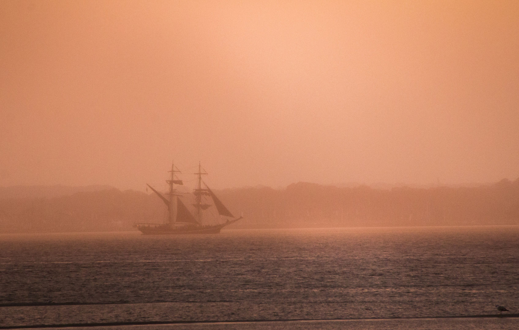 Abendstimmung an der Förde