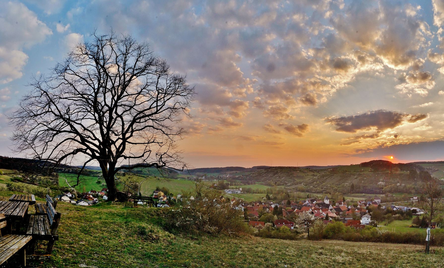 Abendstimmung an der Friedenslinde.