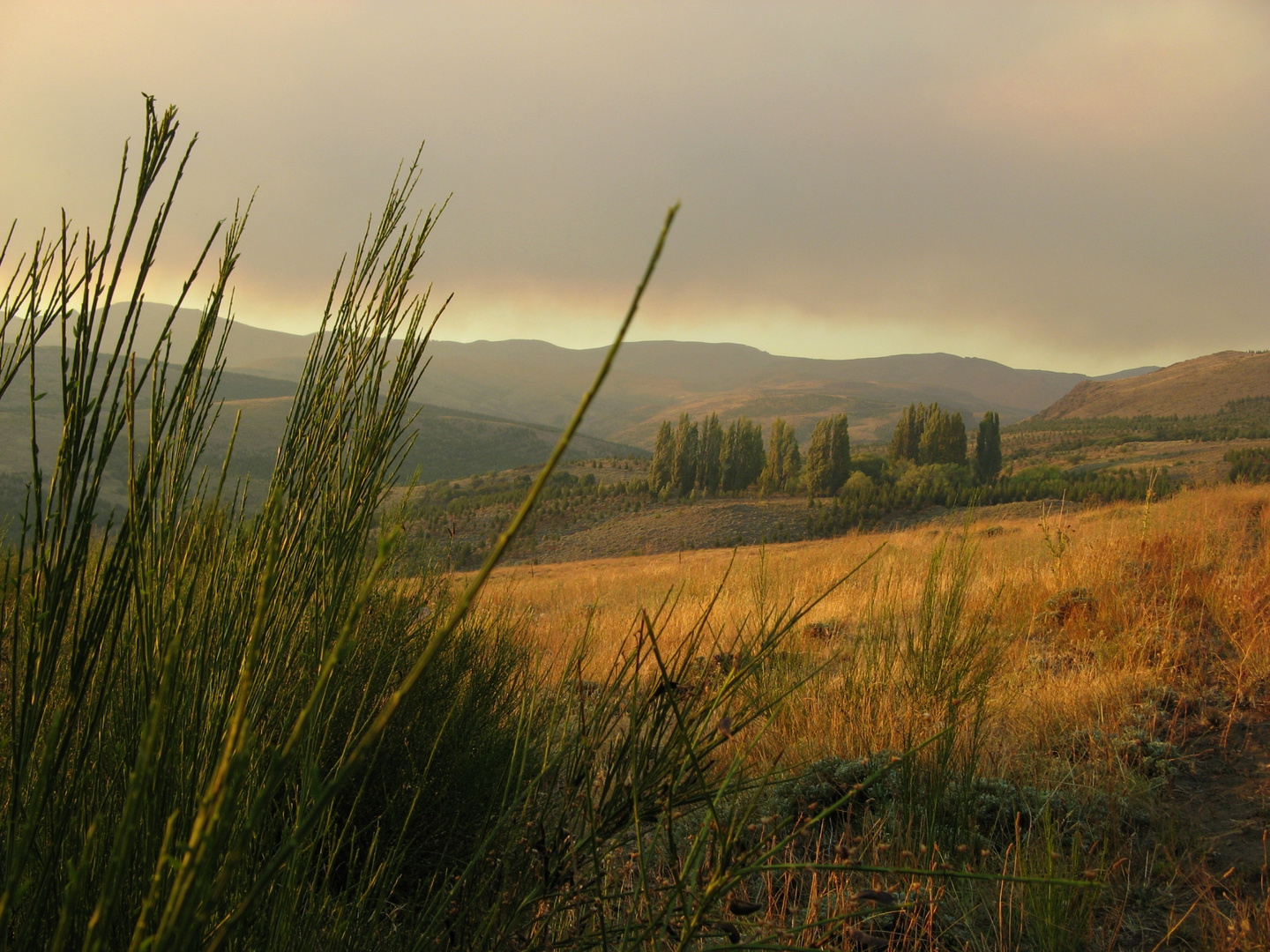 ABENDSTIMMUNG AN DER GRENZE ZU CHILE