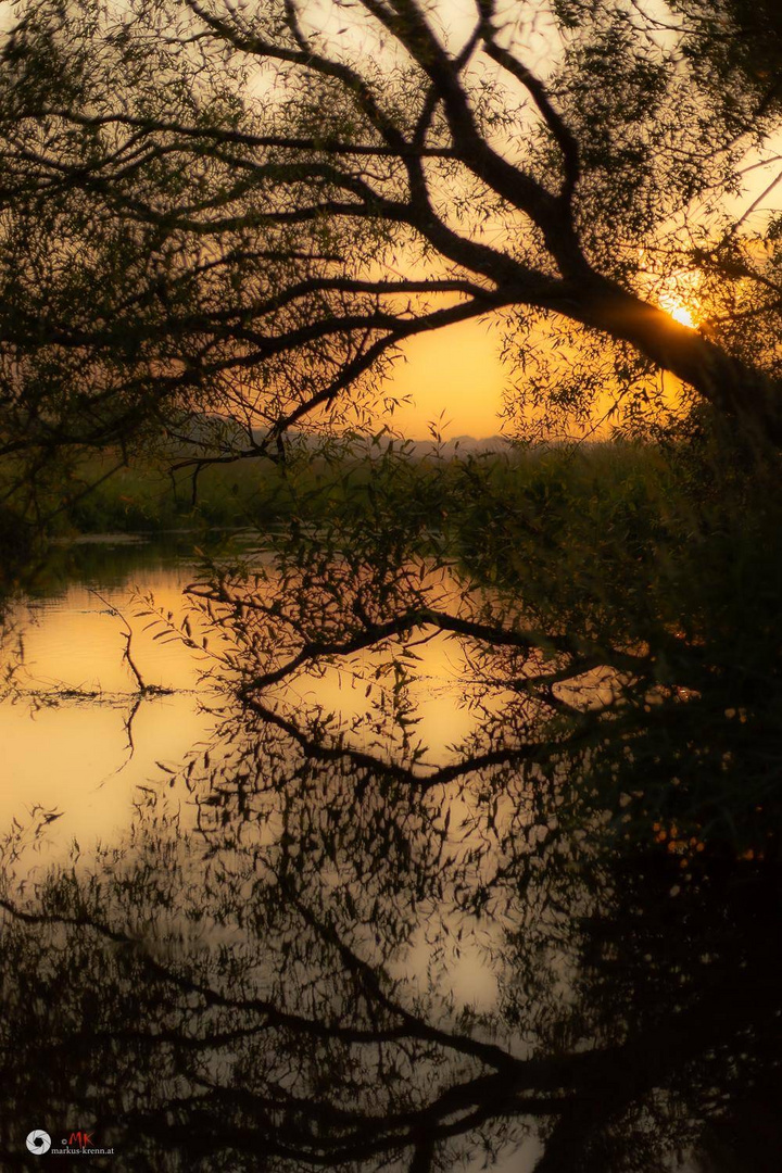 Abendstimmung an der großen Mühl 