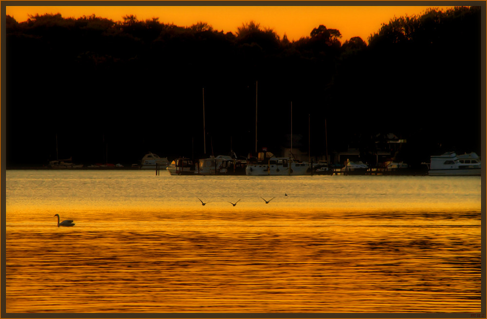 Abendstimmung an der Havel   (203)