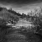 Abendstimmung an der Isar