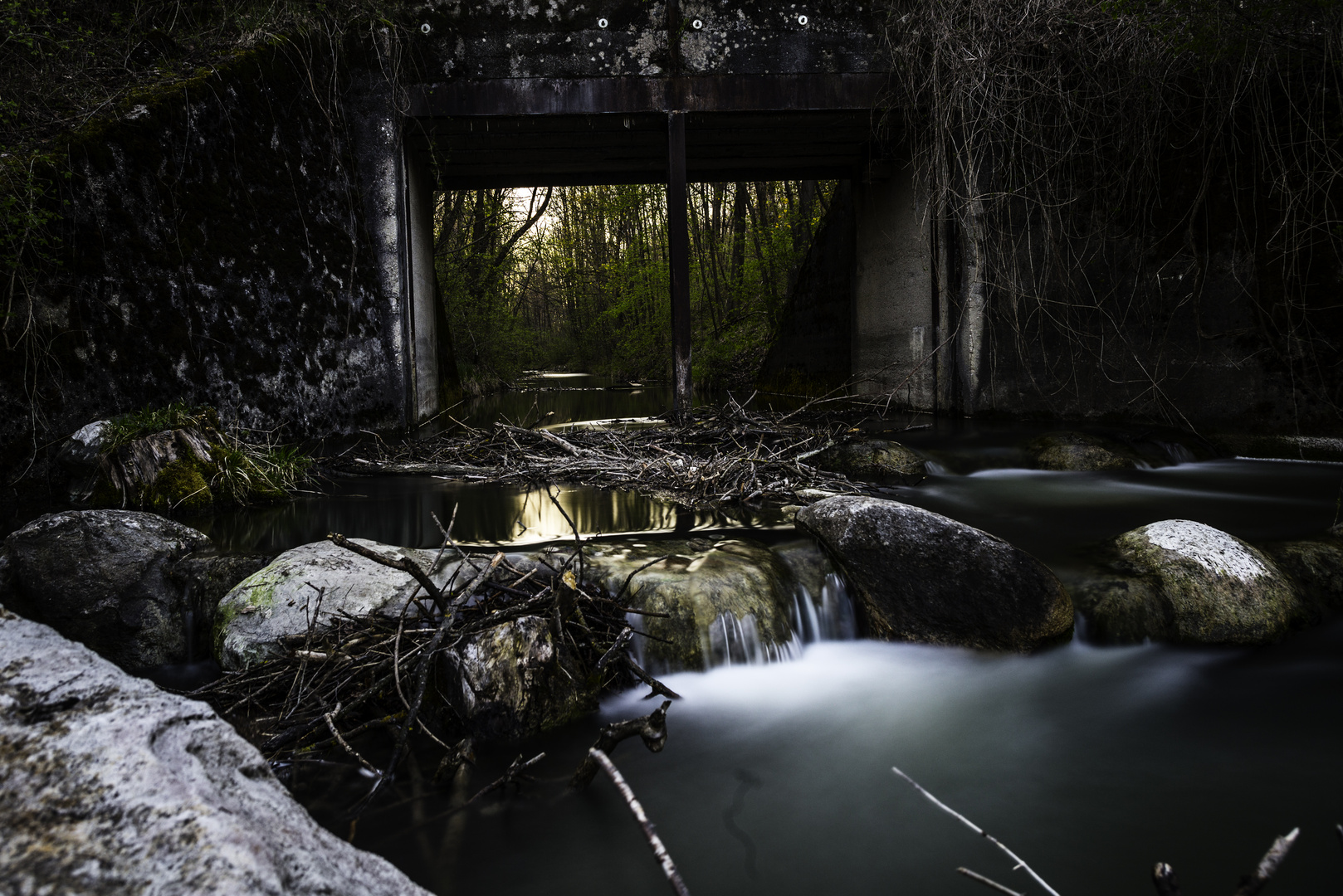 Abendstimmung an der Isar