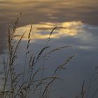 abendstimmung an der isar