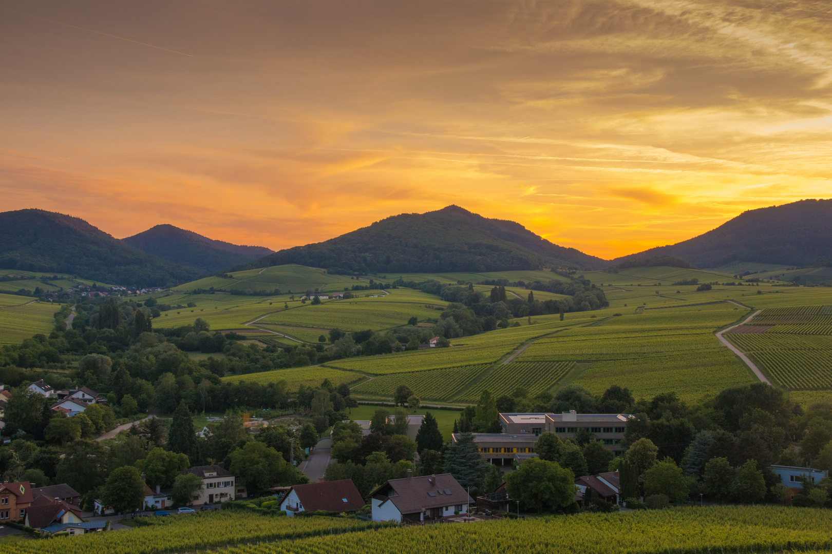 Abendstimmung an der Kleinen Kalmit