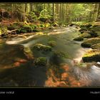 Abendstimmung an der kleinen Ohe im Bay. Wald