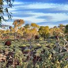 Abendstimmung an der Knox Gorge im Karijini NP