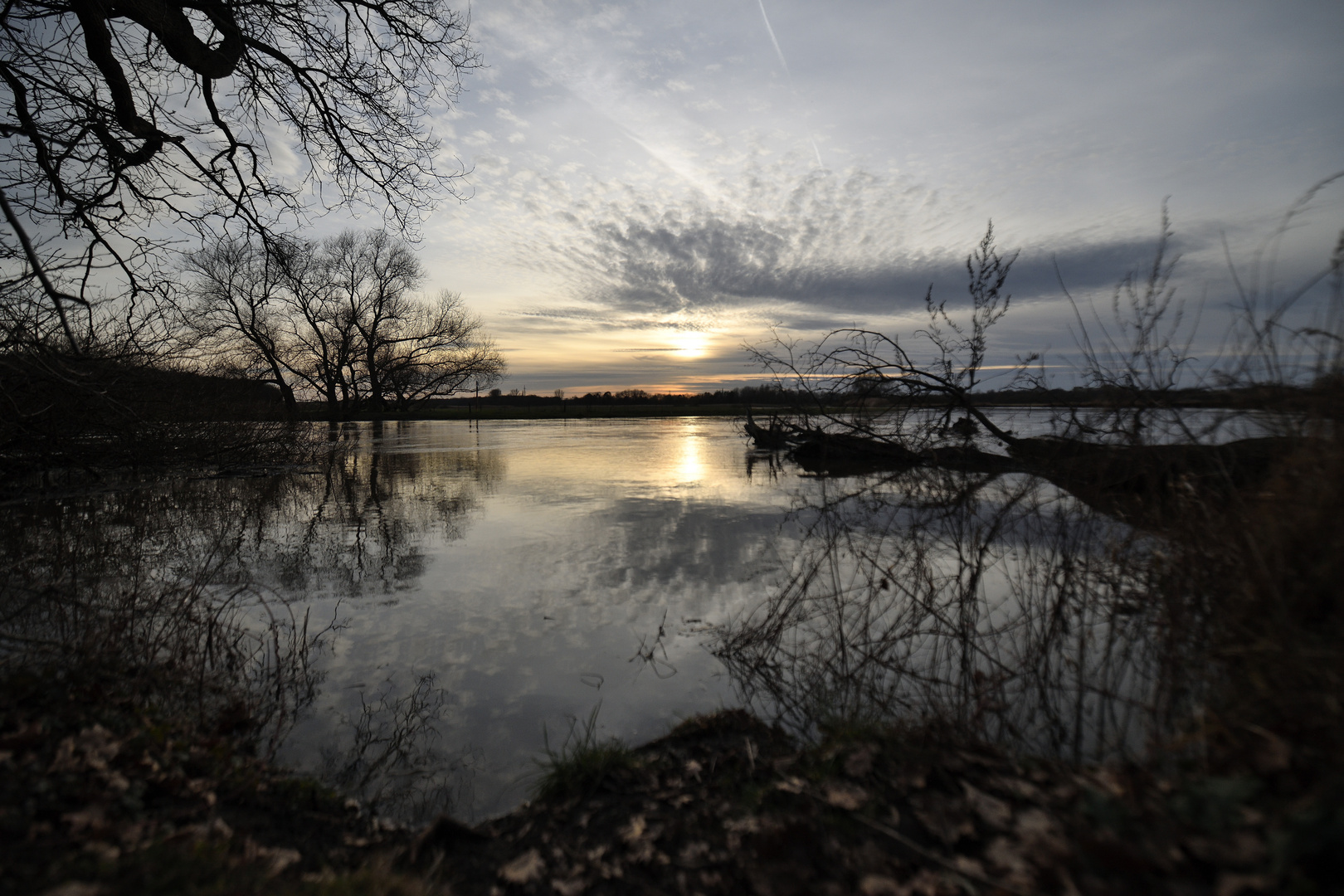 Abendstimmung an der Leine