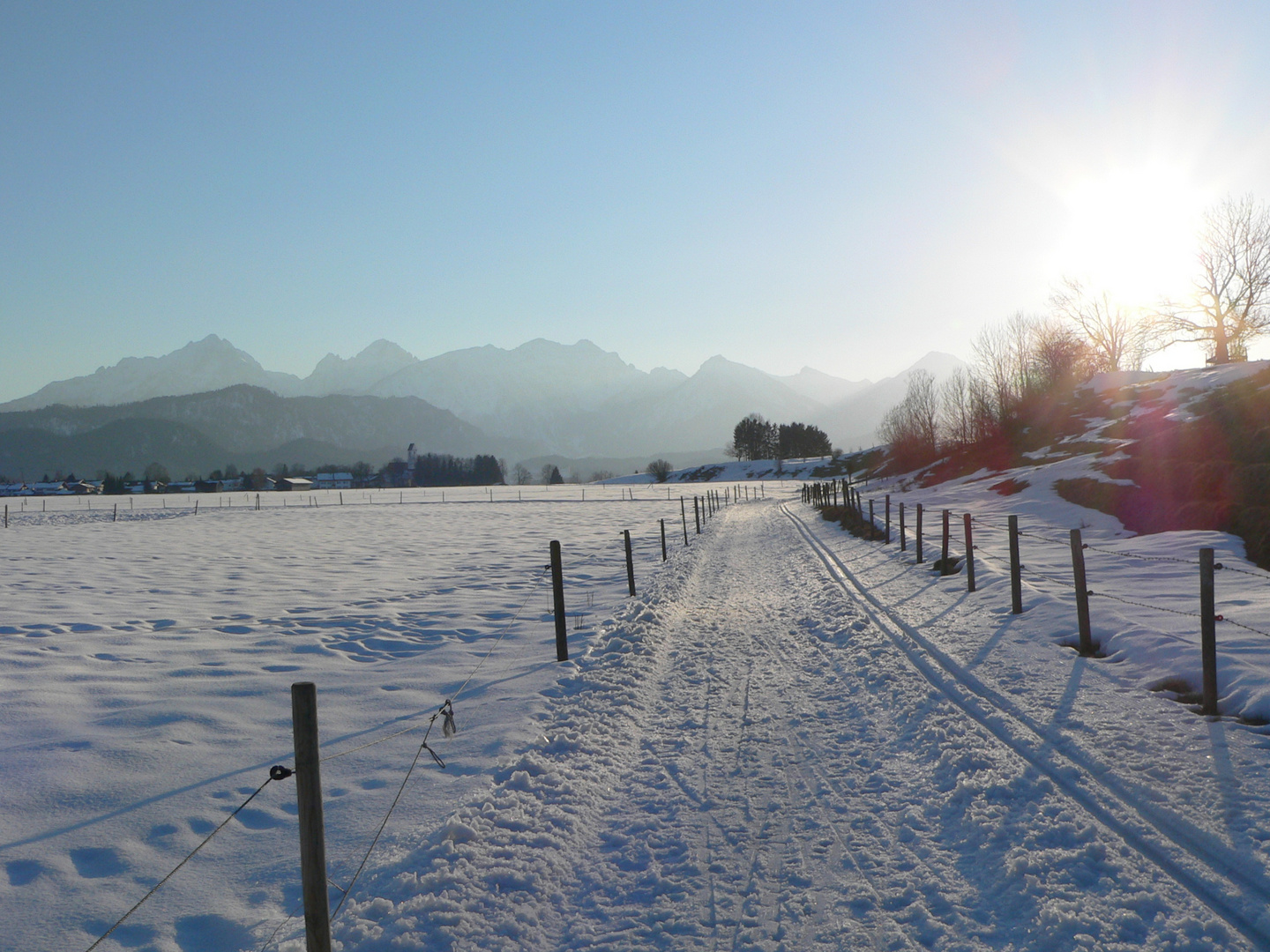 Abendstimmung an der Loipe