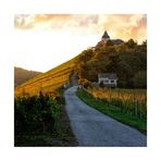 Abendstimmung an der Marienburg/Zell a.d. Mosel