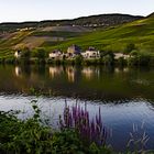 Abendstimmung an der Mosel 