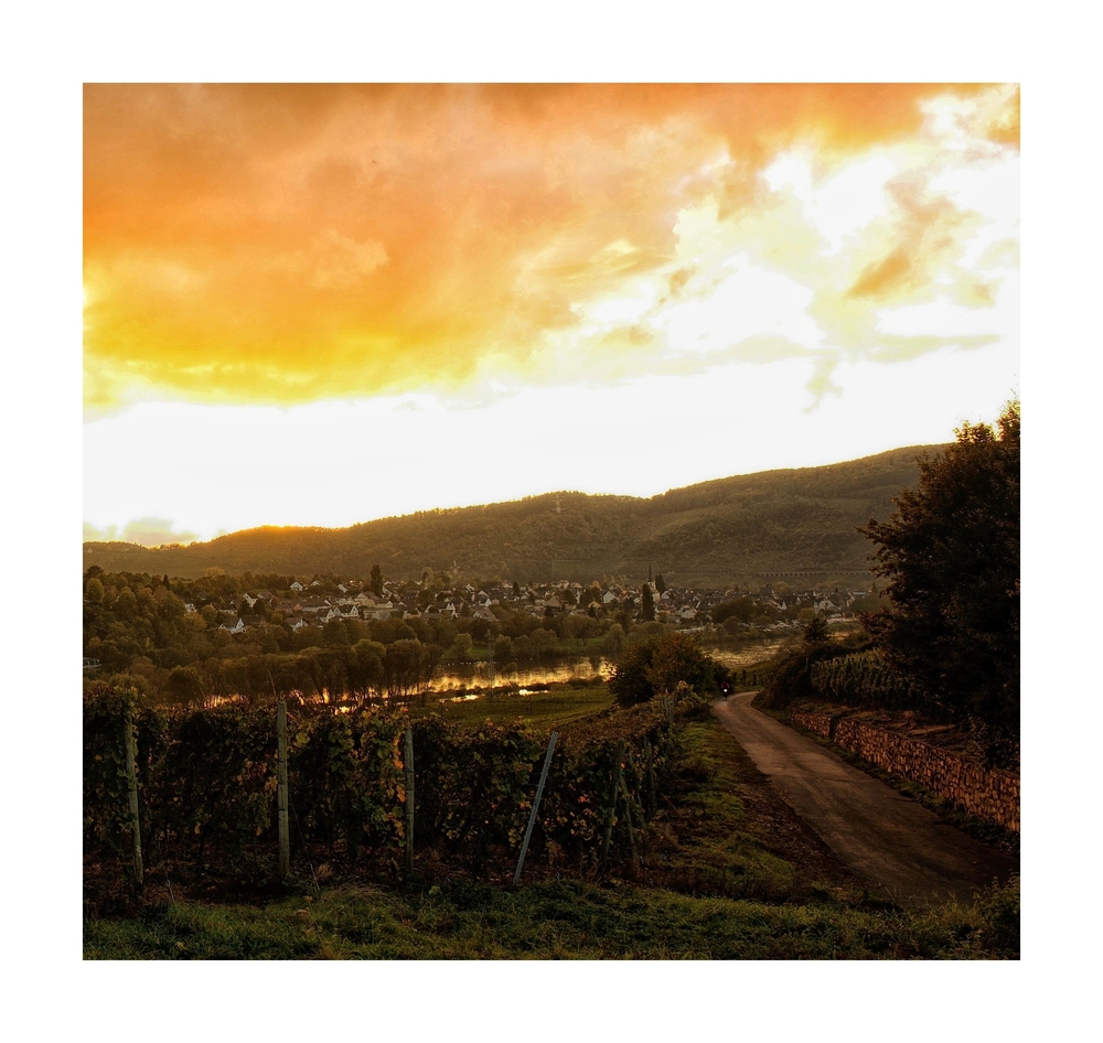 Abendstimmung an der Mosel (Zell)