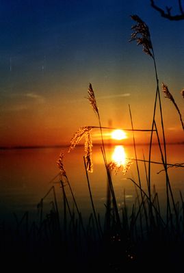 Abendstimmung an der Müritz