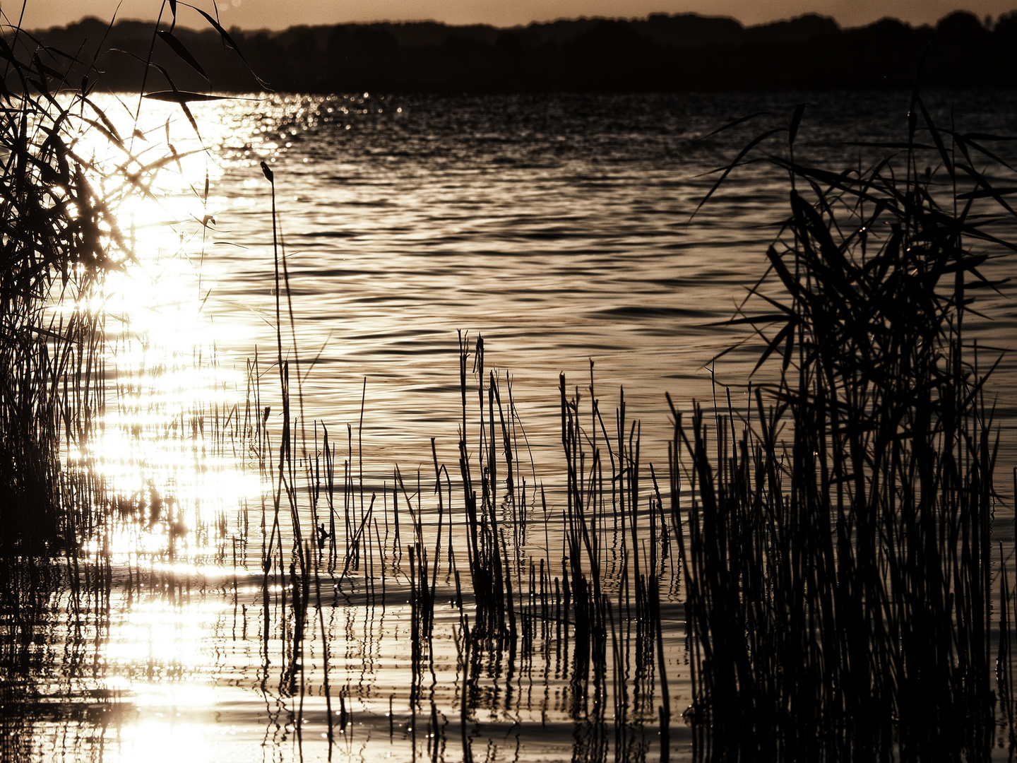 abendstimmung an der müritz ...