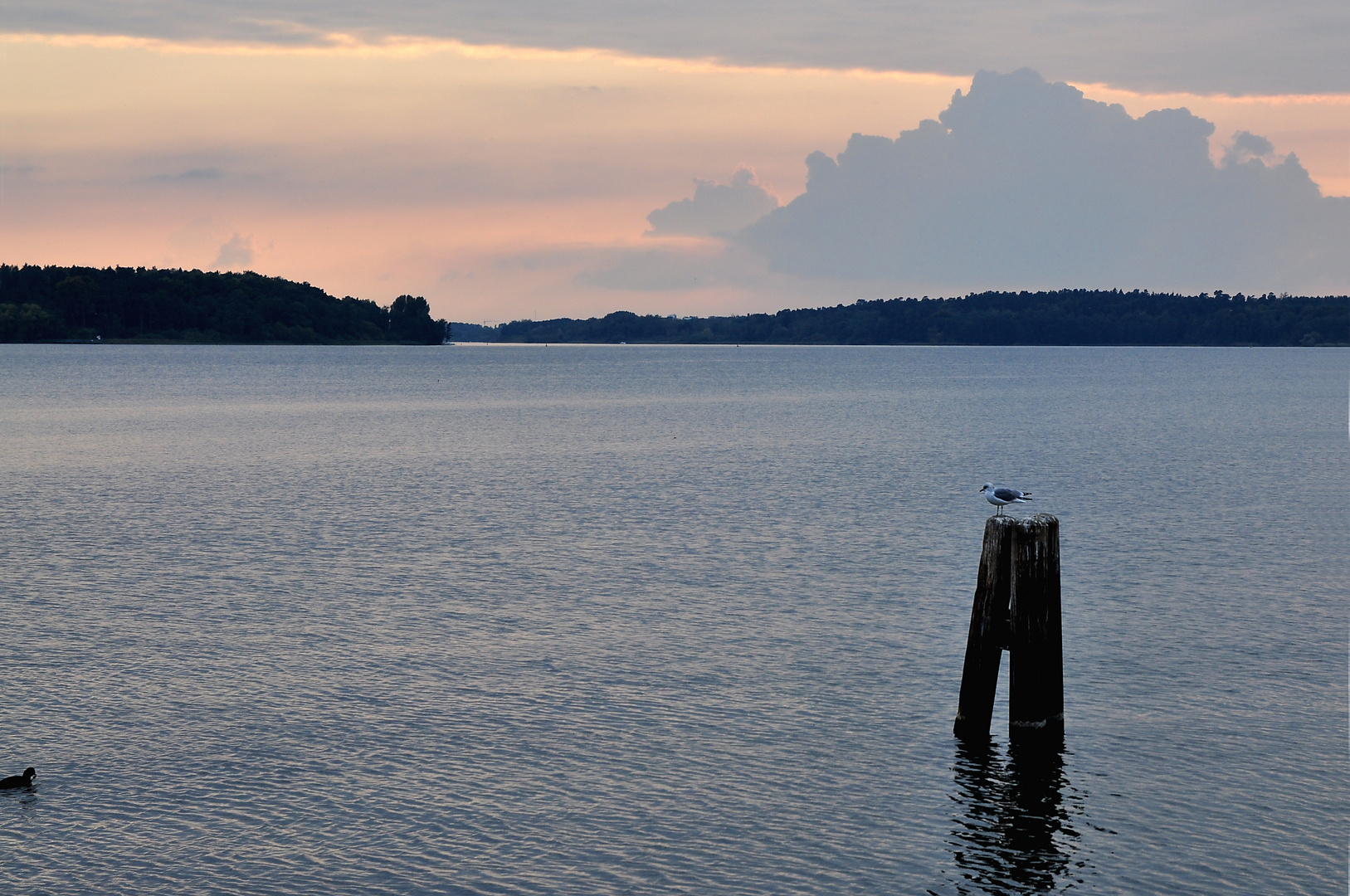 Abendstimmung an der Müritz