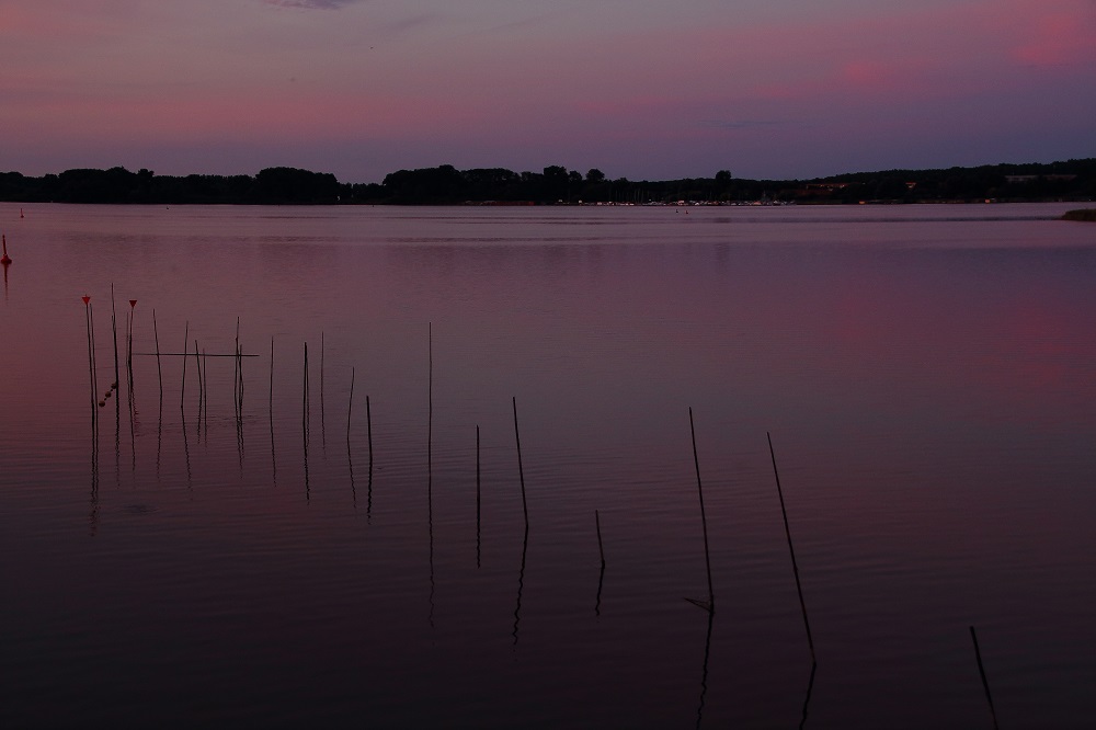 Abendstimmung an der Müritz