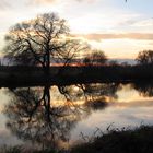 abendstimmung an der mulde