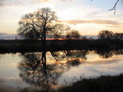 abendstimmung an der mulde