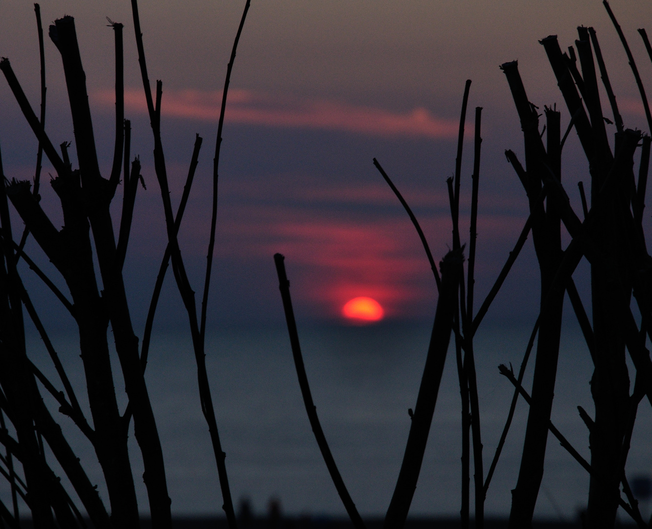 Abendstimmung an der Nordseeküste...