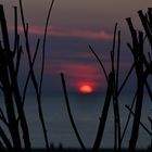 Abendstimmung an der Nordseeküste...