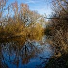 Abendstimmung an der Oker