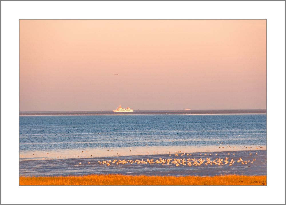 Abendstimmung an der ostfriesischen Küste