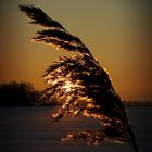 Abendstimmung an der Ostsee