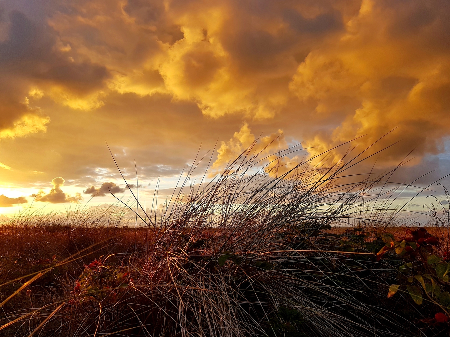 Abendstimmung an der Ostsee