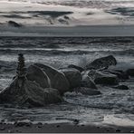 Abendstimmung an der Ostsee