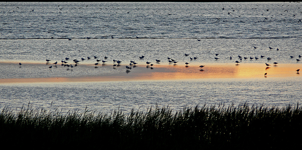 Abendstimmung an der Ostsee