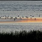 Abendstimmung an der Ostsee