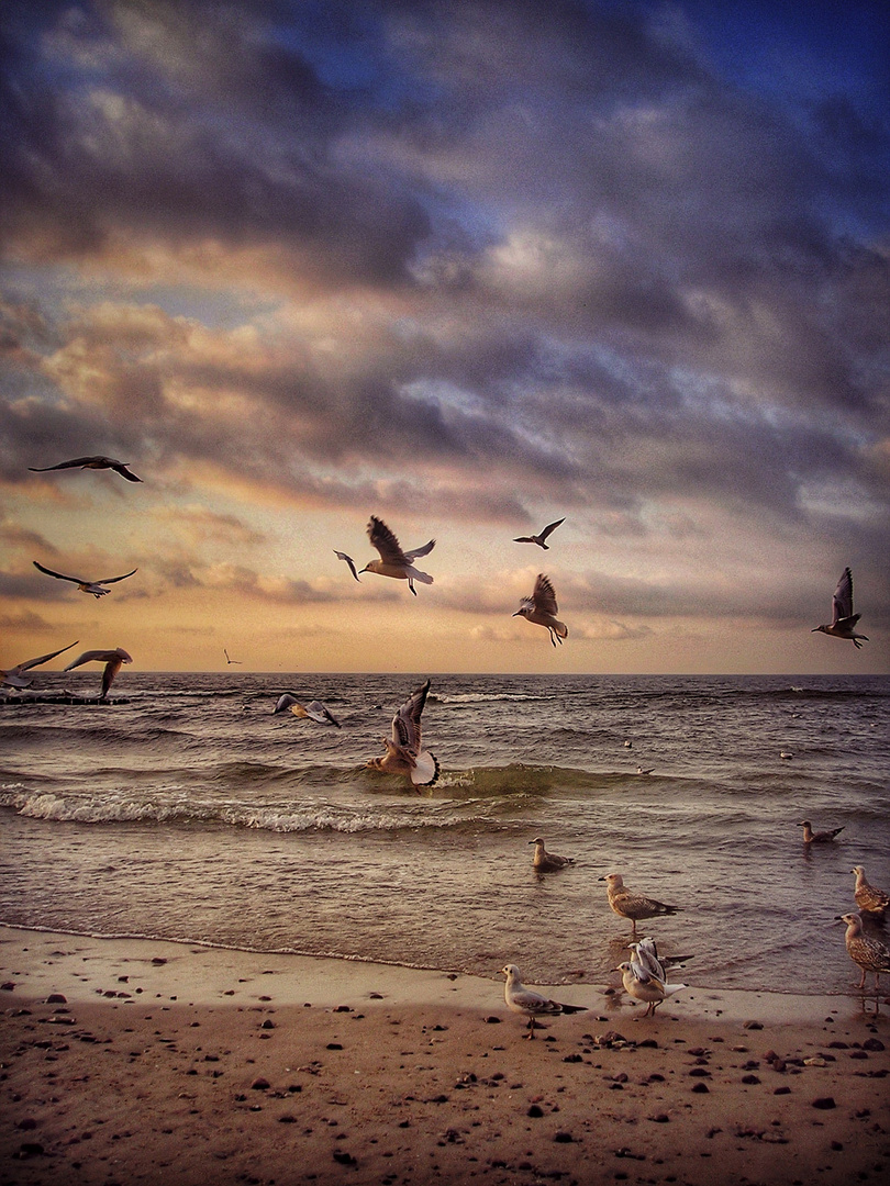 Abendstimmung an der Ostsee 