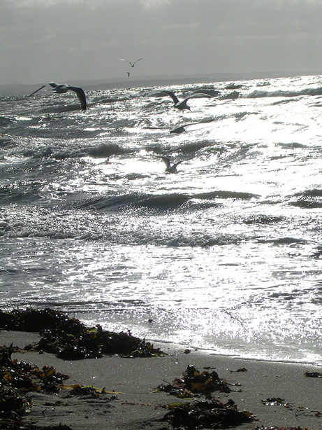 Abendstimmung an der Ostsee