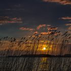 Abendstimmung an der Ostsee