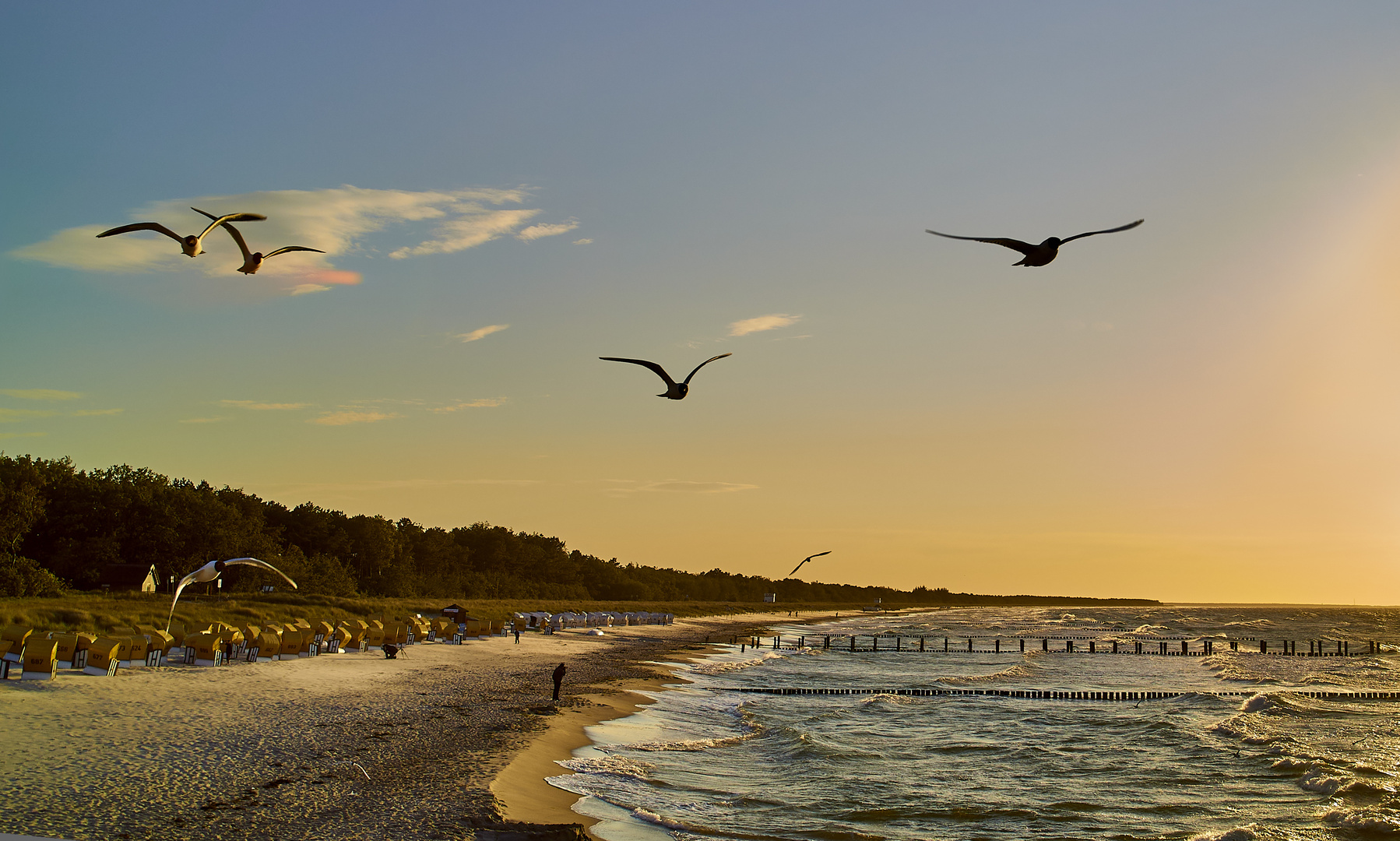 Abendstimmung an der Ostsee/Darß