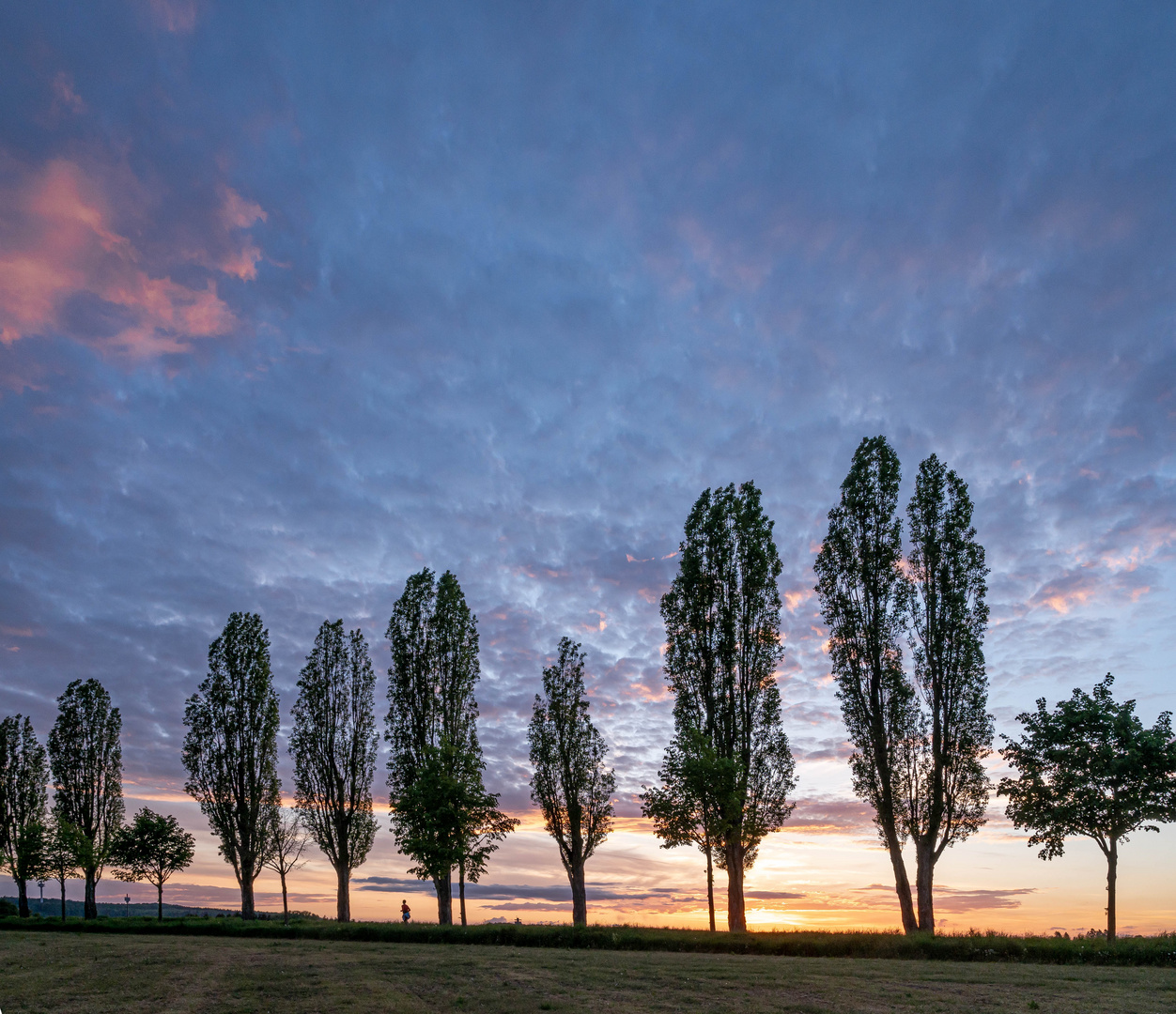 Abendstimmung an der Pappelallee